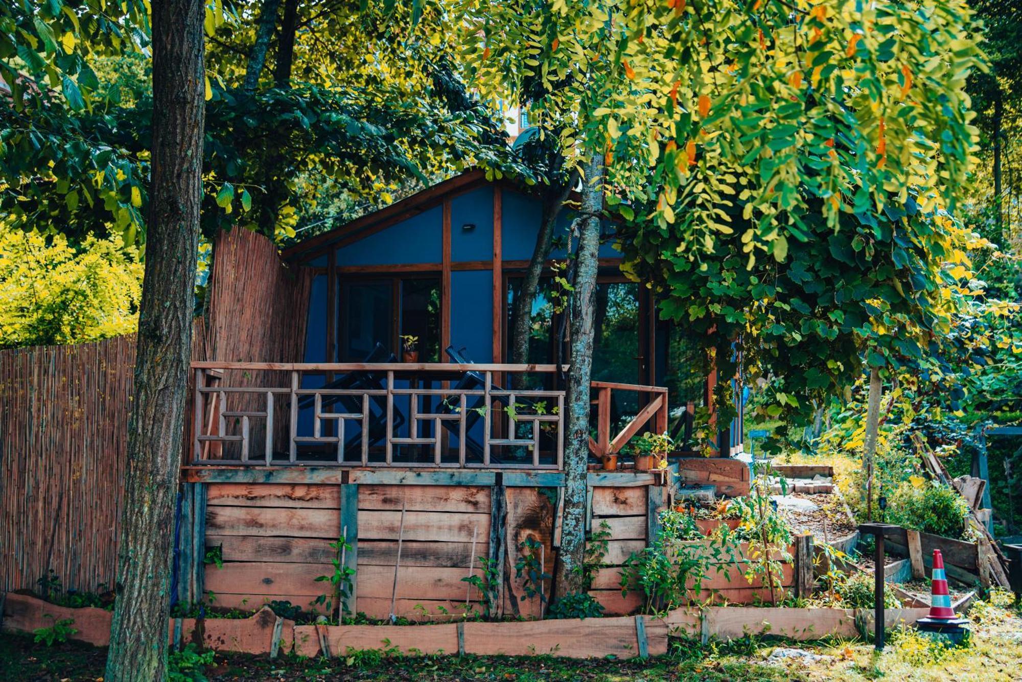 Danzi Camping Tiny House Rize Ngoại thất bức ảnh